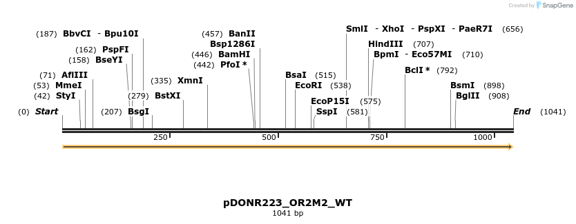 155077_map
