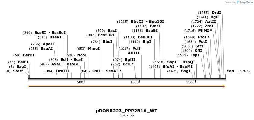 155079_map