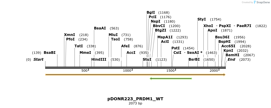 155080_map
