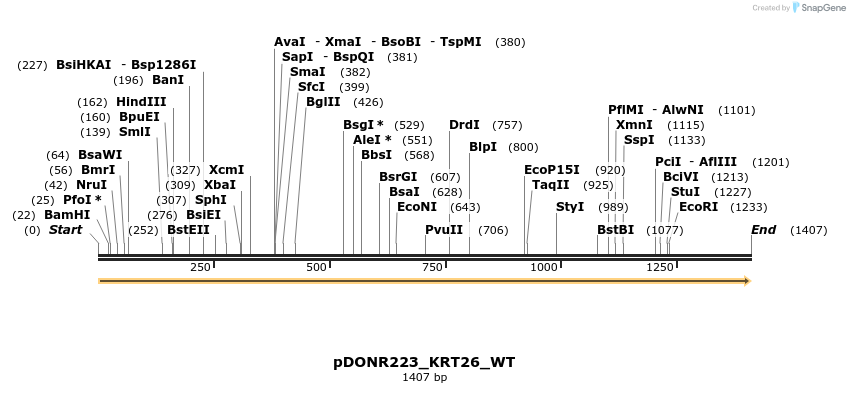 155082_map