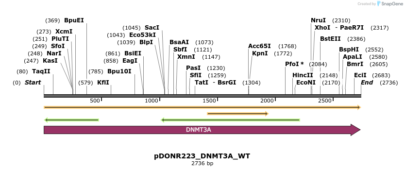 155084_map