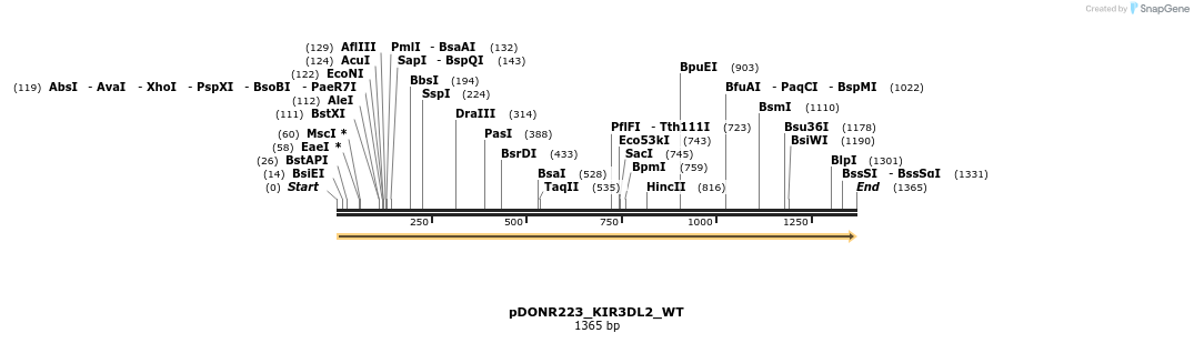155092_map