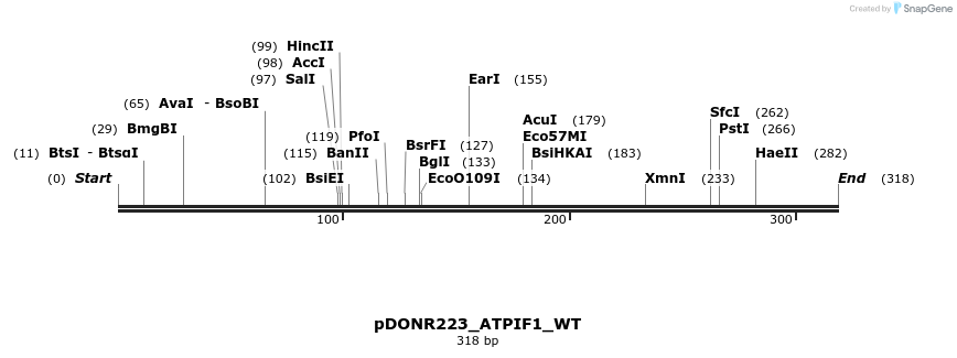 155093_map