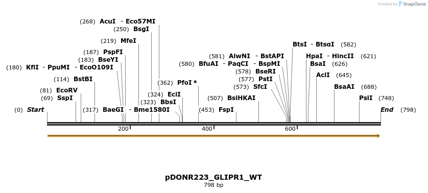155099_map