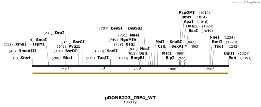 155101_map