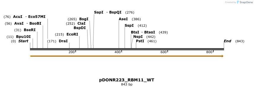 155103_map