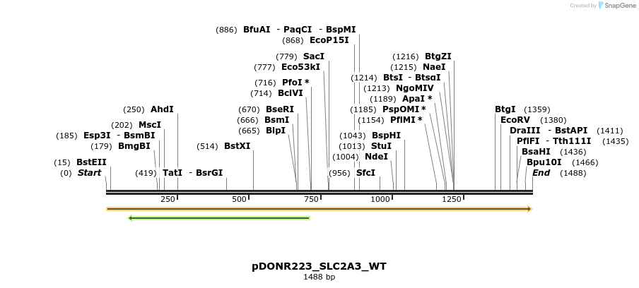 155106_map