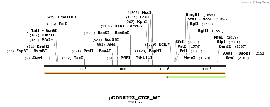 155108_map