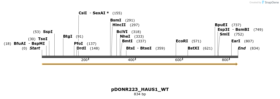 155109_map