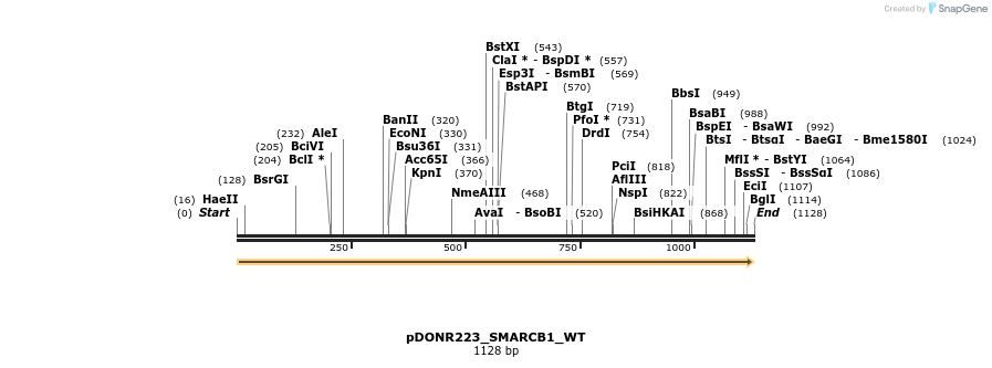 155110_map