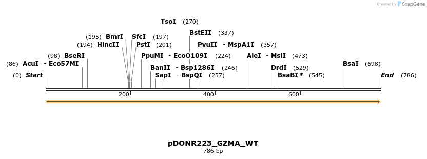 155111_map