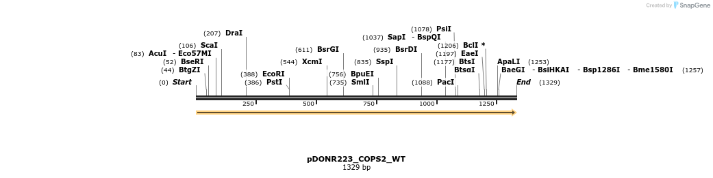155112_map