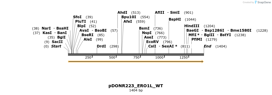 155116_map