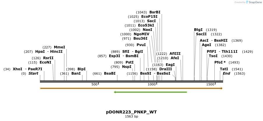 155120_map