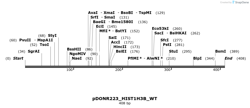 155121_map