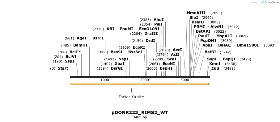 155122_map