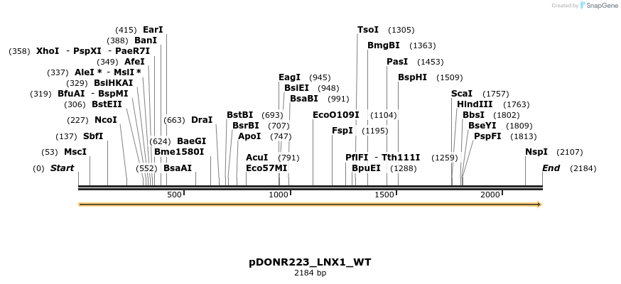 155123_map