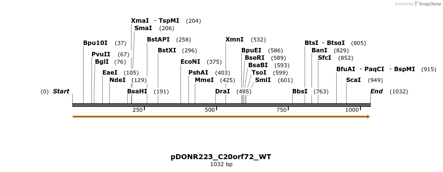 155125_map