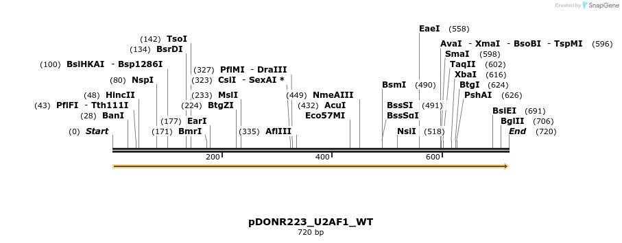 155126_map