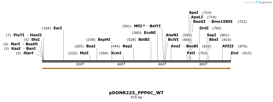 155130_map