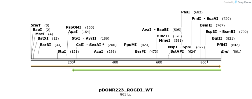 155133_map