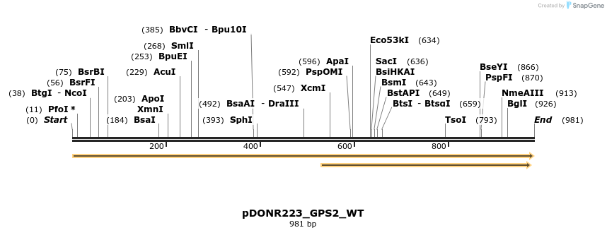 155135_map