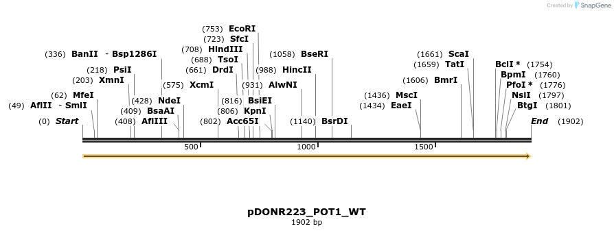 155139_map