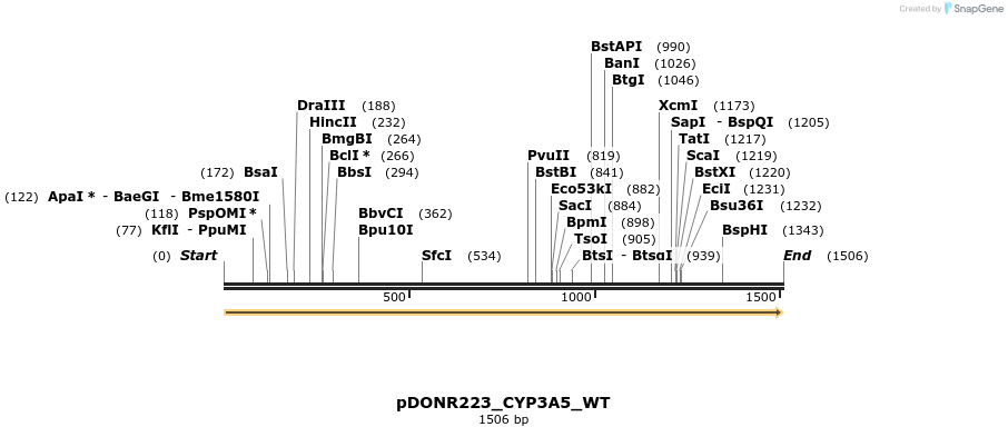 155142_map