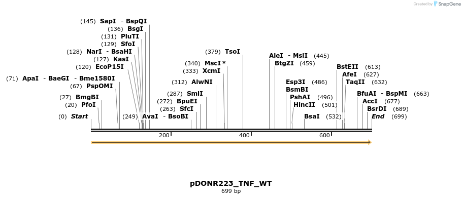 155143_map