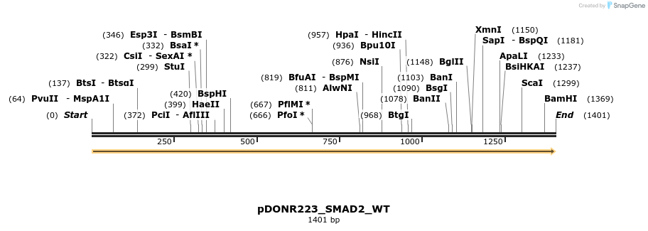 155149_map