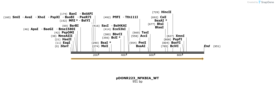 155152_map