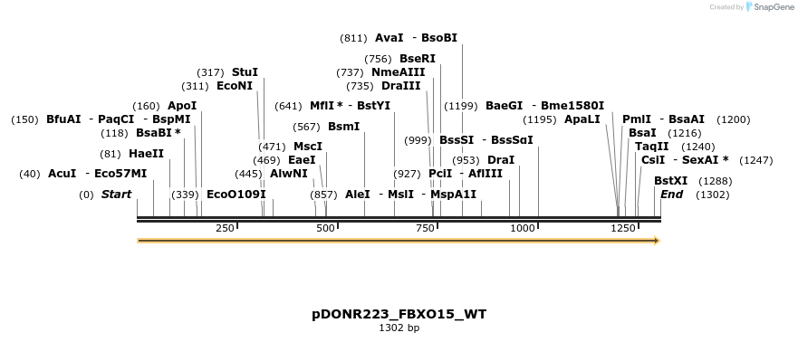 155158_map