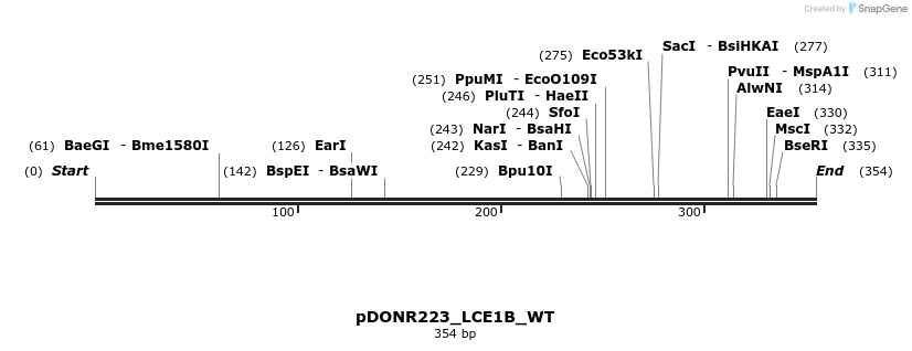 155160_map