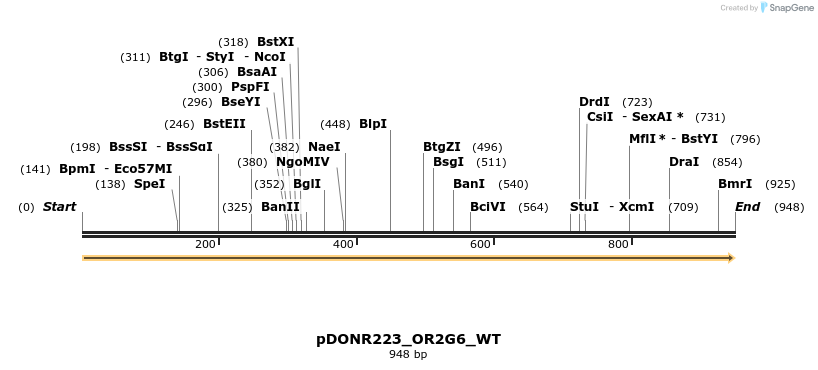 155165_map