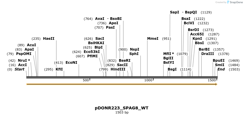 155167_map