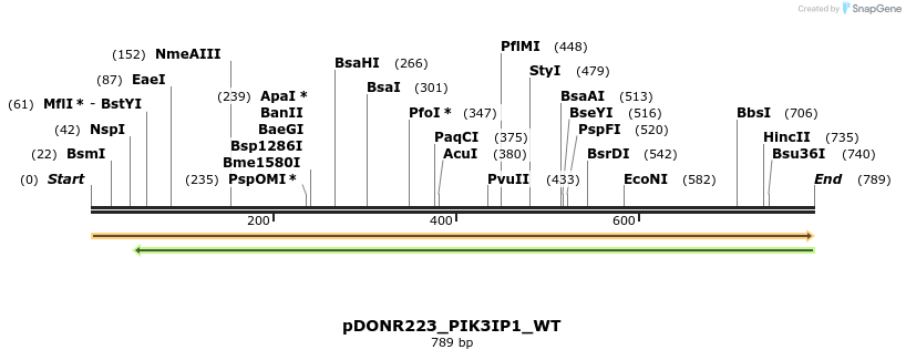 155172_map