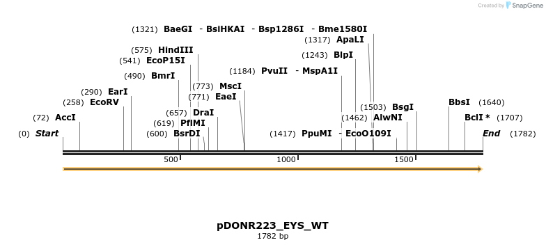 155173_map