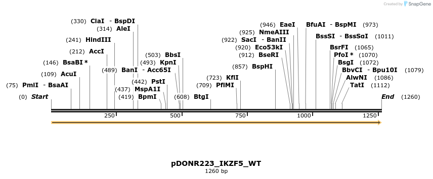 155174_map
