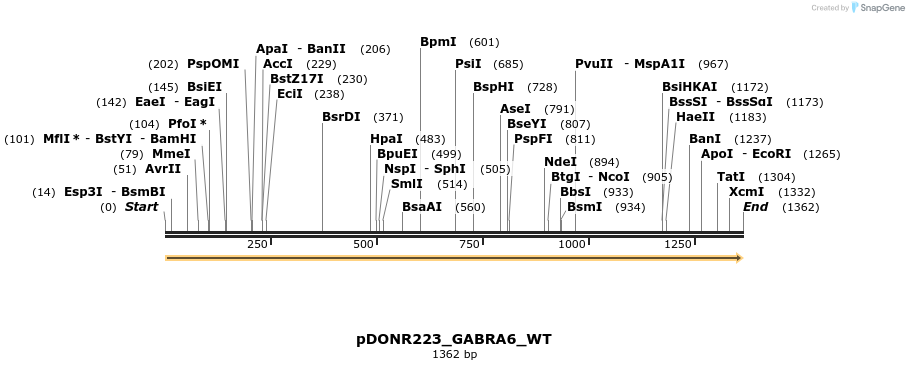 155180_map