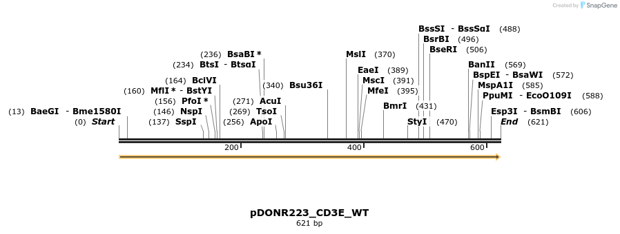 155184_map