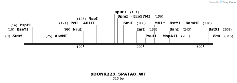 155185_map