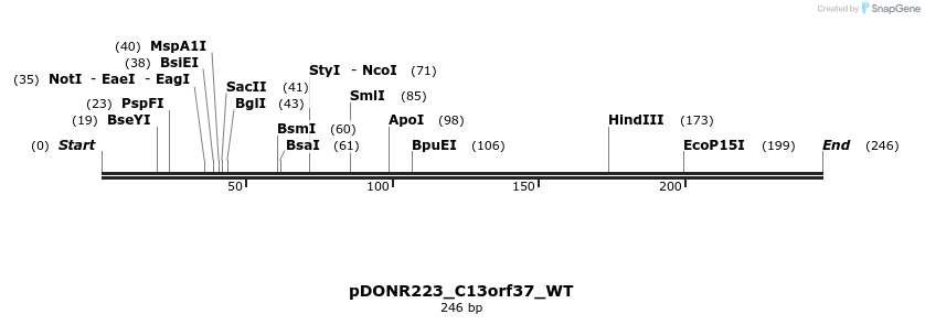 155191_map