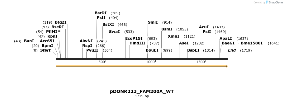 155197_map