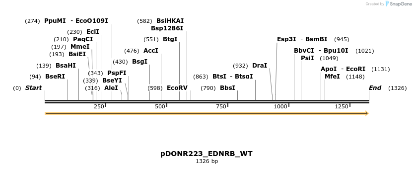 155200_map