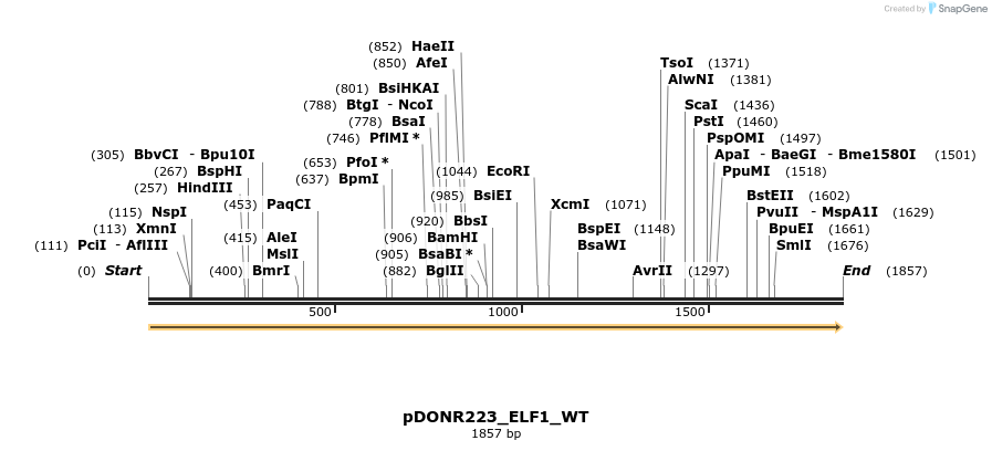 155202_map