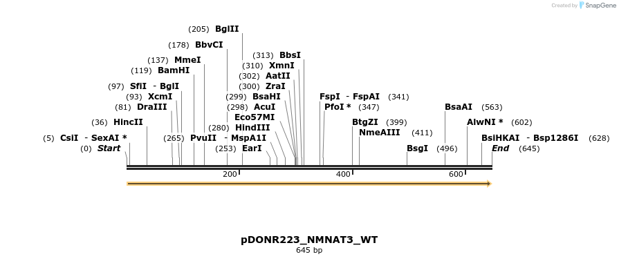 155204_map