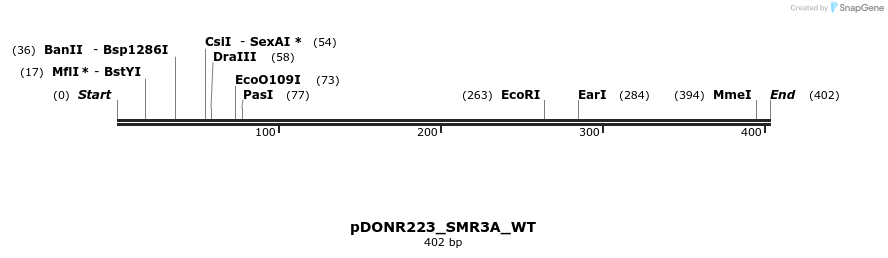 155206_map