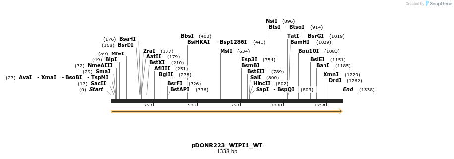 155213_map