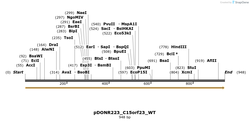 155215_map