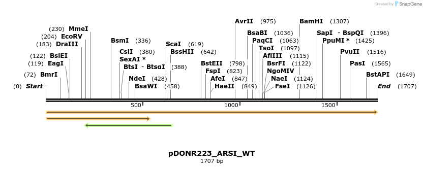 155217_map